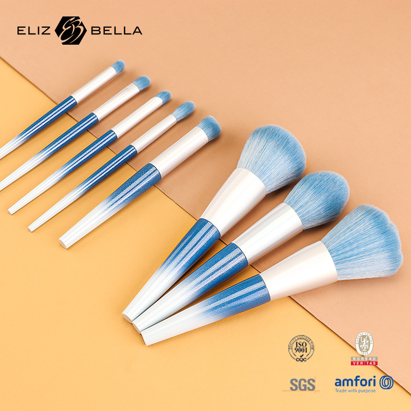 10pcs Beauty Needs Plastic Handle Travel Makeup Brush Set With Synthetic Hair, Đơn đặt hàng OEM được chào đón